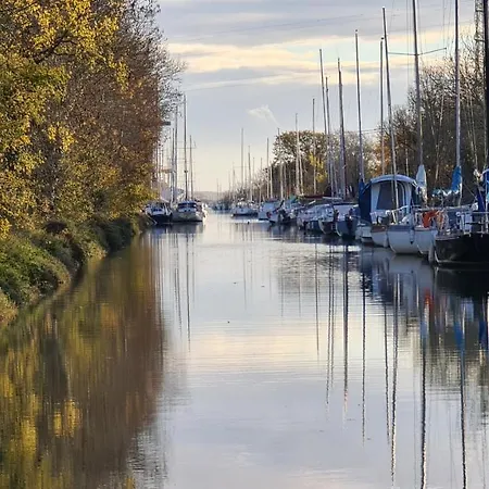 Les Cedres * Marennes (Charente-Maritime)